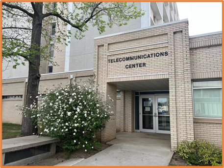 International talent cultivation